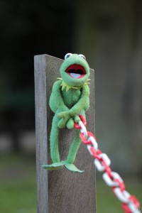Spass mit Kermit